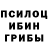 Галлюциногенные грибы Psilocybine cubensis Meyosh