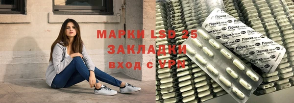 PSILOCYBIN Абдулино