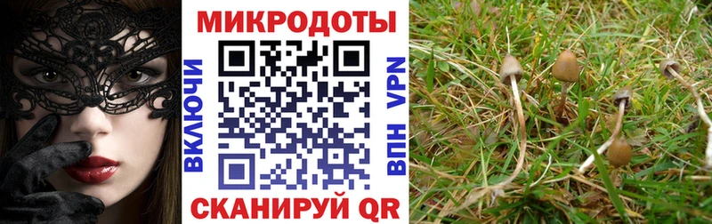 Псилоцибиновые грибы ЛСД  даркнет сайт  Кулебаки 