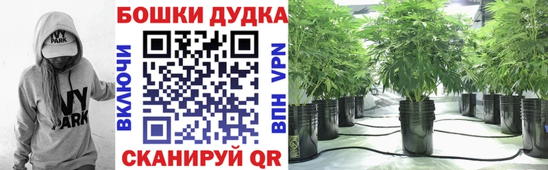 Конопля сатива  дарнет шоп  Кулебаки 